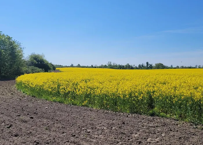 Apartment Gute Stube *